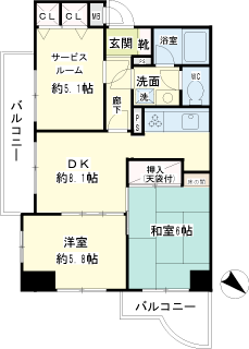 東京都大田区の賃貸マンション　ナイスアーバン大森　間取りです