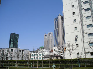 東京都新宿区の貸事務所　西新宿ＴＯＫビル　