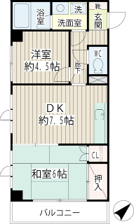 横浜市港北区の賃貸マンション　カーサ妙蓮寺Ⅲ　２０３号室