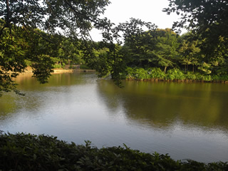 横浜市鶴見区の賃貸マンション　ユリウス今関　三ッ池公園