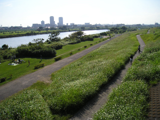 東京都大田区の賃貸マンション　ハイネス多摩川　多摩川