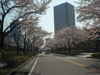 東京都大田区の賃貸マンション　ライオンズマンション蒲田南　川崎駅さくら並木