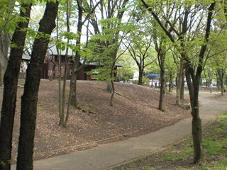 横浜市神奈川区の賃貸マンション　パークサイド宮里　公園