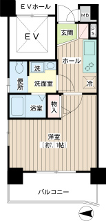 東京都大田区の賃貸マンション　ハイネス多摩川　５０１　間取