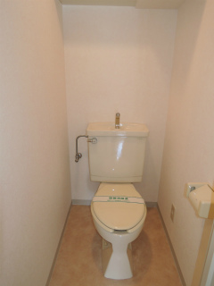 川崎市幸区の賃貸マンション　サウスピアコート　３０４号室　トイレ