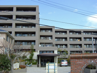 横浜市鶴見区の賃貸マンション　ナイスビューリヨン横濱鶴見　309号室 外観です
