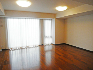 東急東横線　武蔵小杉駅の分譲賃貸マンション　ザ・コスギタワー　３００５号室　リビングです