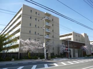 横浜市港北区の賃貸マンション　プラウド綱島　外観