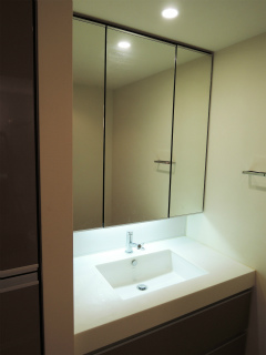 東京都品川区の賃貸マンション　ブリリアタワー品川シーサイド　１２０２号室　洗面室