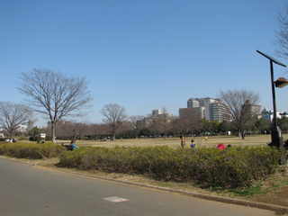 東京都江東区の賃貸マンション　サニーハウス木場公園　木場公園2