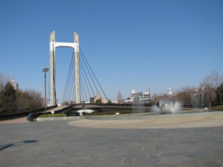 東京都江東区の賃貸マンション　サニーハウス木場公園　木場公園5