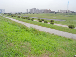 川崎市中原区の賃貸マンション　ＺＥＮ　多摩川