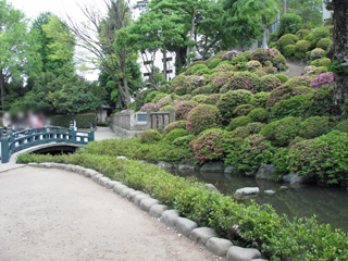 東京都文京区の分譲賃貸マンション　ナイスアーバン千駄木　根津神社