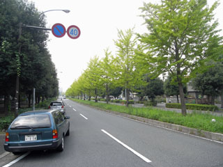 横浜市鶴見区の賃貸マンション グリーンハイツ平安　街路樹