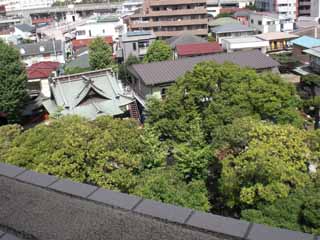 川崎市中原区の賃貸マンション　ルースト　眺望