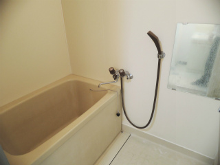 川崎市中原区の賃貸マンション　グリーンキャピタル 201浴室