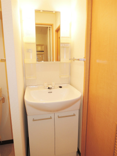 東京都大田区の賃貸マンション　ハイネス多摩川　２０２号室　洗面室