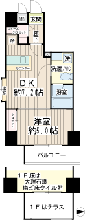 東急東横線　武蔵小杉駅の　新築賃貸マンション　コルティーレ武蔵小杉　２０２間取り