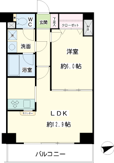 川崎市川崎区の新築賃貸マンション　オベリスク藤崎　201号室間取り