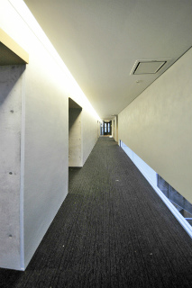 川崎市川崎区の新築賃貸マンション　イグレクス　５０１　内廊下