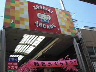 東京都大田区の賃貸マンション　ライオンズマンション蒲田南　雑色　象