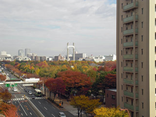 東京都江東区の賃貸マンション　木場公園サニーコート　眺望