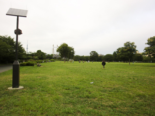 東京都江東区の賃貸マンション　木場公園サニーコート　木場公園