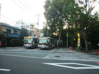 東京都世田谷区の賃貸マンション　シャトーポレール若林　バス