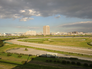 川崎市幸区の分譲賃貸マンション　川崎多摩川ファインフィールズ　多摩川