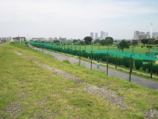 川崎市幸区の賃貸マンション　グランシャリオ　河川敷