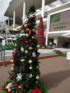 川崎市幸区の賃貸マンション　レジデンスブリリアントイースト　ツリー