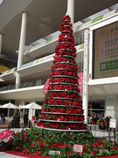 川崎市幸区の賃貸マンション　レジデンスブリリアントイースト　ツリー