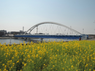 川崎市川崎区の賃貸マンション　リヴェール川崎　菜の花と鶴見橋