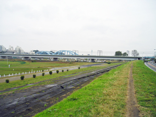 東急東横線　新丸子駅の賃貸マンション　多摩川サマリヤマンション　等々力緑地