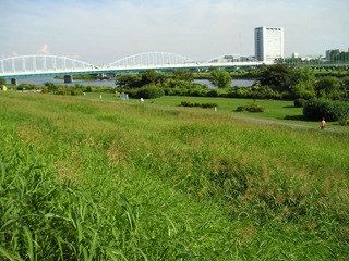 東京都大田区の賃貸マンション　ハイネス多摩川　多摩川