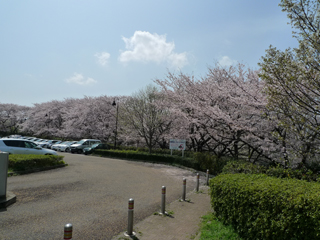 横浜市中区の賃貸マンション　朝日山手マンション　根岸森林公園