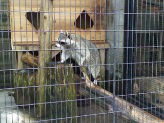 川崎市幸区の賃貸マンション　グラスィア新川崎　動物公園