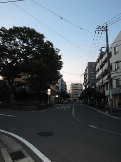 横浜市鶴見区の賃貸マンション　アイビー菅沢　街路樹