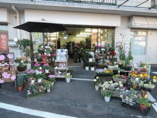 川崎市川崎区の賃貸マンション　ニュー池田町ハイツ　605　花屋さん